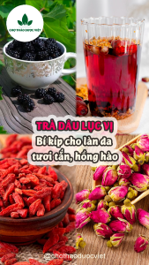 Set 5-10 gói trà dâu lục vị mix sẵn (Thanh nhiệt giải độc ngăn ngừa lão hóa) - Chợ Thảo Dược Việt