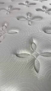 Dunlopillo Orthorest SuperBack Firm | 11Inch (28cm) CoolTech Pocketed SuperCoil™ Mattress/ Tilam Queen/ King 冷床 弹簧床 双人床 Dunlopillo Ortho Rest Super Back Firm - Lazada