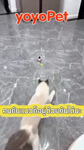 yoyopet : ของเล่นสัตว์เลี้ยง แมว ขนนกไฟฟ้า รถของเล่นแมว อัตโนมัติ ชาร์จ USB พร้อมรีโมตคอนโทรล