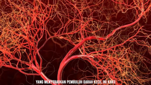 Apirex Bharata Obat Vertigo Menurunkan Darah Tinggi Hipertensi Kolesterol 100% Asli BPOM 50 Kapsul