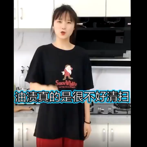 Pembersih Minyak Dapur The Oil Net Pembersih Dapur mengangkat minyak