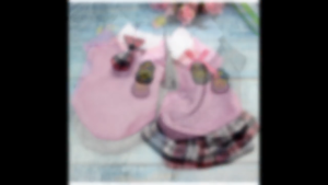 Seragam Pet School: Pakaian Hewan Peliharaan yang Unik & Praktis