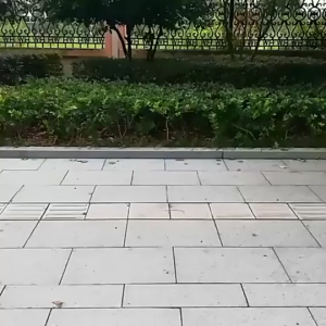 ✅100% Original UME Disposable Raincoat for Adults Portable Disposable Emergency Raincoats Rain Poncho in A Ball