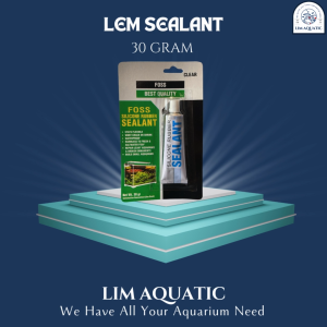 Lem Sealant 30 Gram Clear