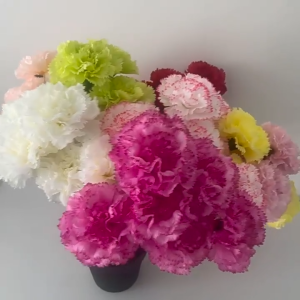 Single Carnation Artificial Flowers Handmade Wedding Celebration Home Decoration Vase Leaves Leaf Fake Flower Bunga Carnation Hiasan Jamuan Raya Ramadan Perkahwinan Kahwin Hari Ibu Guru Daun Tumbuhan Bekas Pasu Bunga Palsu Feast Party Festival  仿真康乃馨
