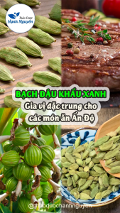 Bạch đậu khấu Xanh 500g (Thảo quả xanh hạt bưởi Ấn Độ gia vị thơm ngon cho món ăn) - Thảo Dược Hạnh Nguyên