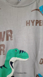 Baju Kaos Distro Anak Laki-laki Karakter Dinosaurus Keren Import 1-10 Tahun - Hypelane