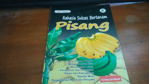 Rahasia Sukses Bertanam Pisang