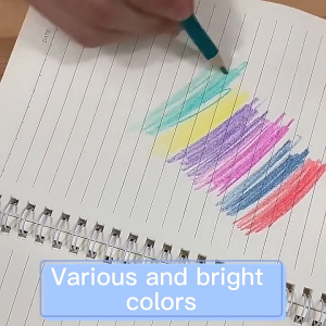 Arcoris 12-Pack Double-Ended Premium Colored Pencils 24 Vibrant Shades High-Quality Art Supplies for Drawing and Sketching
