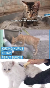 Obat Cacing Terbaik untuk Kucing Kitten & Anjing Dewasa 30ml
