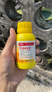 Fungisida Cevya® 400 SC //BASF