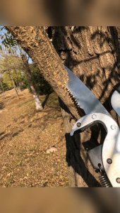 High Branch Shears Saw 1.65 - 7 Meters Telescopic High Altitude Pruning Saw Tree Cutter Fruit Pick