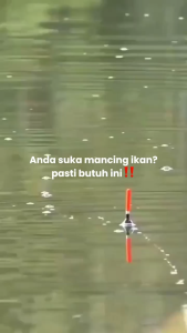 Rangkaian Kail Khusus Bawal Siap Pakai Lengkap