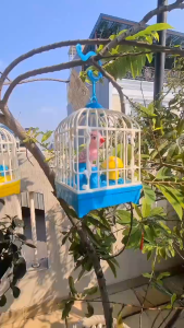 VIRALSHOP88 OD MAINAN SANGKAR BURUNG BUNYI BATERAI / MAINAN BURUNG SANGKAR / MAINAN ANAK BURUNG DALAM SANGKAR