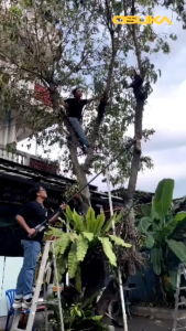 เลื่อยไฟฟ้า OSuka รุ่น OCMC536-M1 และ OCMC536-N รุ่นใหม่ 6 นิ้ว, รูปแบบสำหรับการแปรงถ่าน