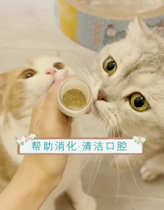 💯PG🥊 Natural Catnip Kitten Menthol CatFood Cat Mint For Interactive Cat Training Treat Toy Organic