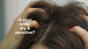 Tree To Tub Moisturising Argan Oil Shampoo - Organic Sulfate-Free for Sensitive Scalp & All Hair Types 250ml