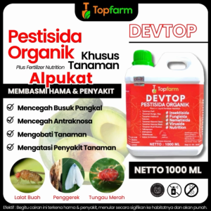 Obat Hama Daun Alpukat / Obat Pembasmi Hama Daun Alpukat / Obat Hama Alpukat / Obat Hama Untuk Pohon Alpukat / Obat Hama Ulat Daun Alpukat / Obat Lalat Buah Untuk Alpukat - Lazada