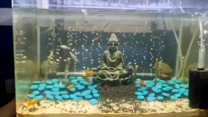 【Popular Categories】 Paw Boutique !BIG-50/200Pcs Aquarium Glow Dark Pebbles Luminous Stone Garden Walkways Decor