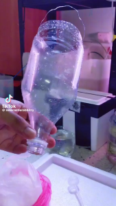 HATCHERY BOTTLE CAP FOR Baby Brine Shrimp (BBS)