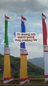 (BANDIR) UMBUL UMBUL PANJANG 3 METER (10PCS)