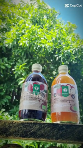 Giấm Táo Hữu Cơ Có Giấm Cái 500ml ProBios Organic