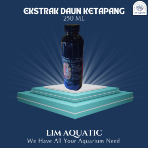 Ekstrak daun ketapang 250L