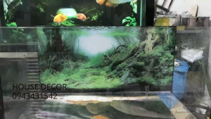 Tranh Dán Bể Cá 3D có sẵn keo Trang Trí Bể Cá Có nhiều Kích thước tbc - bc29