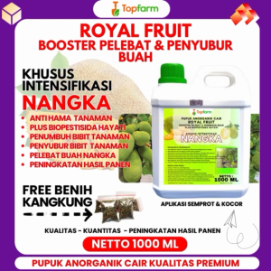 Pupuk Topfarm & Pupuk Booster untuk Nangka