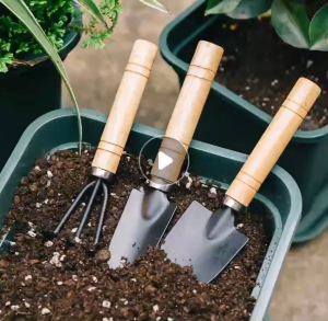 3PCS Garden Tools Set Plant Gardening Shovel Spade Rake with Wooden Handles Succulent Indoor Outdoor Gardening Essential