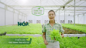 Nước rửa chén sunlight trắng trà xanh 33kg