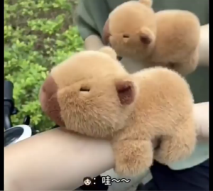 B05 ตุ๊กตาคาปิบาร่า สามารถใส่แขนได้  งานจริงน่ารักมาก ขนนุ่มนิ่ม  ของเล่นเด็ก  พร้อมส่ง