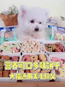 Biskuit Cemilan Anjing Snack Kucing / Suplemen Snack Sehat Anjing Biskuit Kucing Dog Treats Anjing / Snack Hewan Peliharaan Kucing dan Anjing Sehat