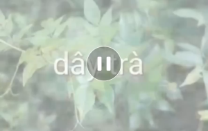 Trà sơn mật hồng sâm táo đỏ sapa loại 1 1kg mix hoa nhài cỏ ngọt hoa táo đỏ thái lát. Trà sâm mật sam hồng thượng hạng