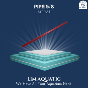 (MERAH) PIPA AQUARIUM MERAH 5/8 / PIPA AQUARIUM UNDERGRAVEL