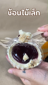 ช้อนไม้แบบใช้แล้วทิ้ง ช้อนไม้เล็ก 9.6ซม. ใช้แล้วทิ้ง ช้อนไอติม ช้อนขนม ช้อนเค้ก ช้อนไม้ (100ชิ้น/แพ็ค)