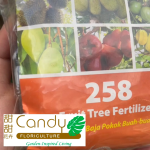 (SG Seller) MR GANICK Fruit Tree Fertilizer 258 (Baba)