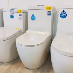 Baron BW818 Rimless Washdown Flushing 1-Piece Toilet Bowl with Soft Closing Urea Seat Cover