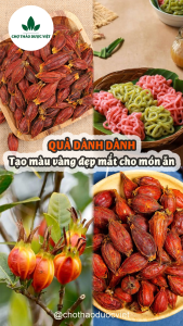 Qủa dành dành 1kg hạt dành dành chi tử bột tạo màu bánh xôi thạch - Chợ Thảo Dược Việt