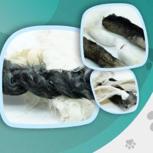 All Natural Dehydrated RABBIT CHEWS cat and dog treats by Chewpawpuffs