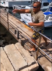 As baja bintik ukuran 5mm as tutul hitam