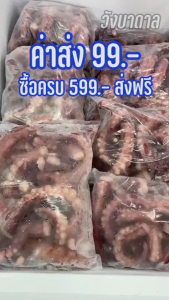 มหาทอดมันกุ้ง 2 แพค 40 ชิ้น อาหลง พรีเมียม ทรงโดนัท เมนูกุ้งเน้น ๆ กัดตรงไหนก็เจอแต่เนื้อกุ้ง ส่งฟรี โดยรถปรับอุณหภูมิถึงหน้าบ้านค่ะ