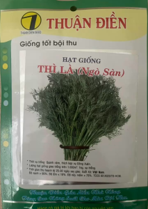 Hạt Giống Rau Thì Là Bốn Mùa Chịu Nhiệt (10 Gr) - Hạt Giống Thuận Điền
