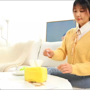 【sought-after】 Tranquil ตุ๊กตาแตงโมผลไม้กล่องกระดาษทิชชูกล่องกระดาษสร้างสรรค์ห้องนอนกล่องเก็บกล่องกระดาษทิชชู YKD