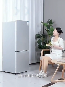 Large Household Refrigerator First-Class Energy Efficiency 2 Door 3 Door Rental House Kitchen