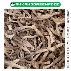 250-500gr JAMUR EKOR TANDUK RUSA KERING LU RONG GU DEER ANTLER MUSHROOM