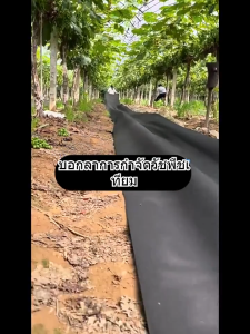 คลุมวัชพืช กำจัดหญ้า พลาสติกคลุมดิน พลาสติกคลุมวัชพืช พลาสติกคลุมหญ้า ผ้าคลุมดิน ผ้าคลุมวัชพืช ป้องกันวัชพืช หญ้า สวน สนาม ต้นไม้
