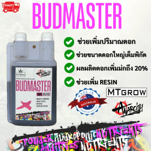 BUDMASTER ช่วยเพิ่มปริมาณดอก เพิ่มขนาดดอก เพิ่ม RESIN เพิ่มผลผลิตดอกได้สูงสุด 20%