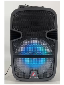FTStar FPA-812 12Inch Powered Portable Audio System (Black)