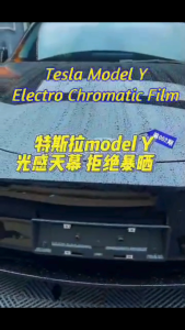 [Pre-Order] PDLC SWITCHABLE SMART GLASS FILM SUNSHADE (ELECTRO CHROMATIC FILM) FOR TESLA MODEL Y MODEL 3 & BYD SEAL (ETA :15 days)